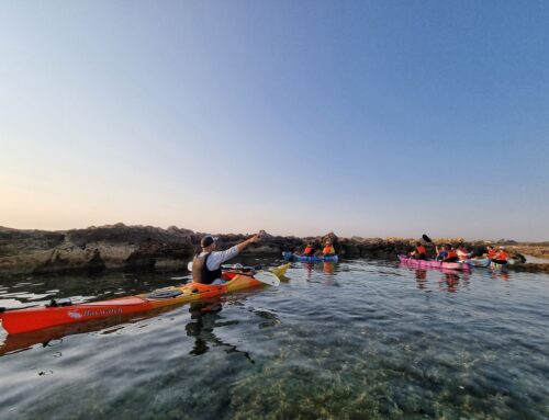 Kayak excursions in Brindisi